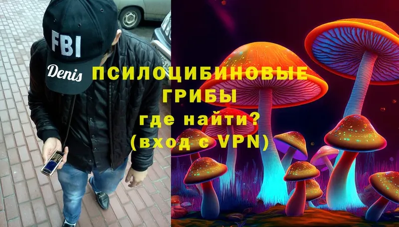 Галлюциногенные грибы MAGIC MUSHROOMS  Балтийск 